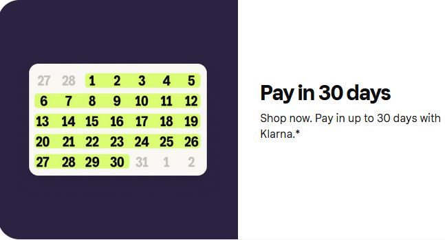 Klarna Pay in 30 Days