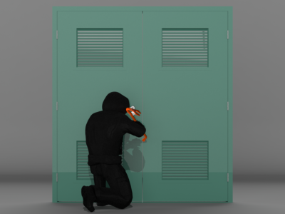 Steel Security Doors